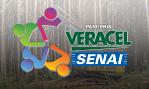 Veracel-Senai